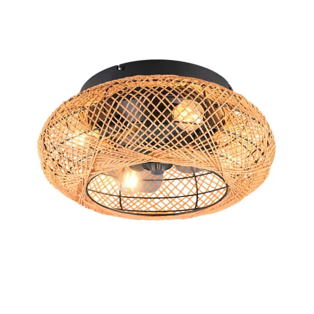 Trio Lighting Lillesand takvifte med lys | R67302126 Trio Lighting Lillesand takvifte med lys | R67302126