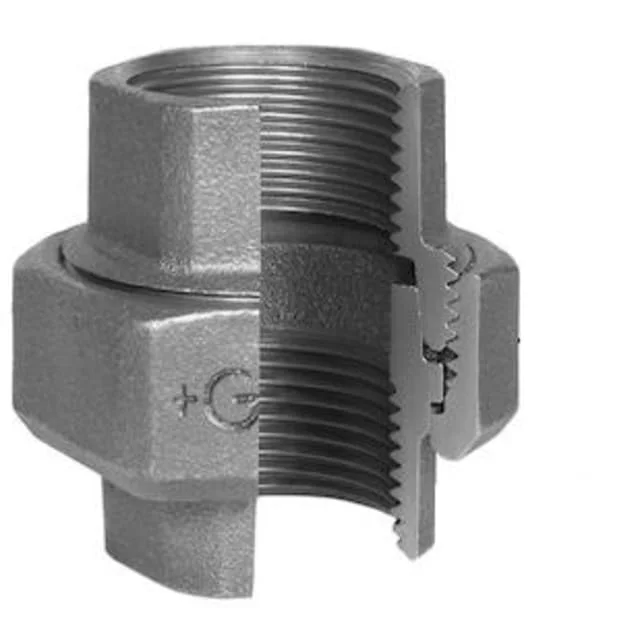 Galvanisert union, muffe/muffe 2" | 770340209