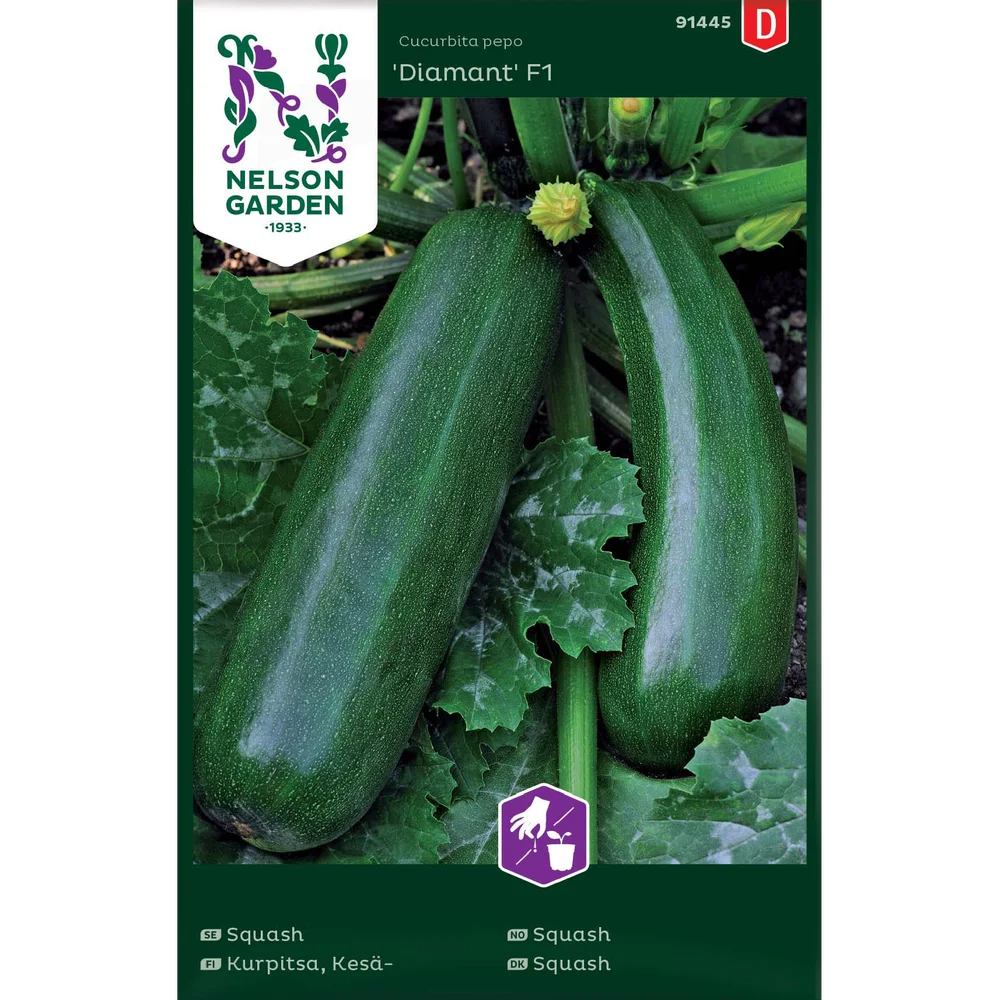 Porsjonsfrø squash diamant f1 v:1633263 Porsjonsfrø squash diamant f1 v:1633263